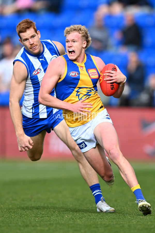 AFL 2024 Round 22 - North Melbourne v West Coast - A-52663789