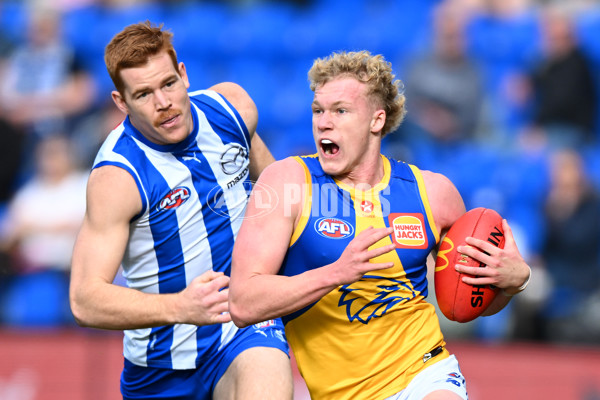 AFL 2024 Round 22 - North Melbourne v West Coast - A-52663792