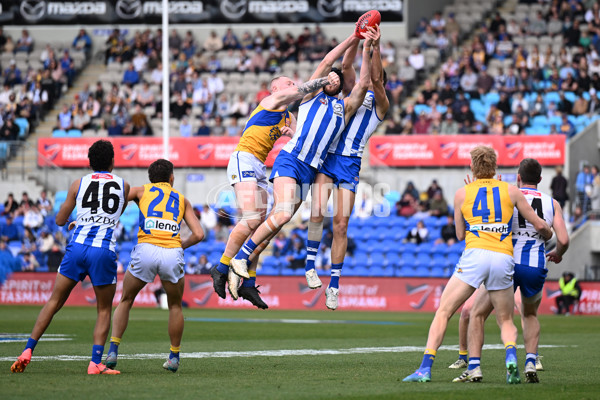 AFL 2024 Round 22 - North Melbourne v West Coast - A-52663794