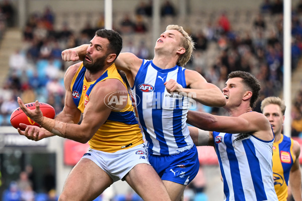 AFL 2024 Round 22 - North Melbourne v West Coast - A-52663804