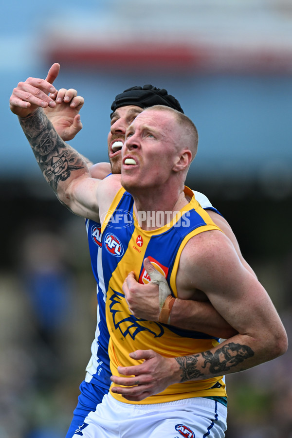 AFL 2024 Round 22 - North Melbourne v West Coast - A-52665036