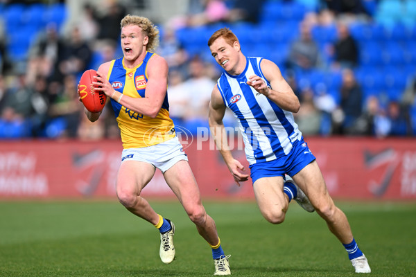 AFL 2024 Round 22 - North Melbourne v West Coast - A-52665060