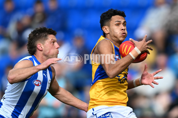 AFL 2024 Round 22 - North Melbourne v West Coast - A-52665062