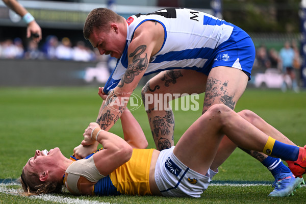 AFL 2024 Round 22 - North Melbourne v West Coast - A-52665075