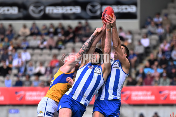 AFL 2024 Round 22 - North Melbourne v West Coast - A-52665096