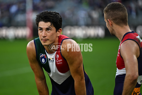 AFL 2024 Round 22 - Fremantle v Geelong - A-52666459