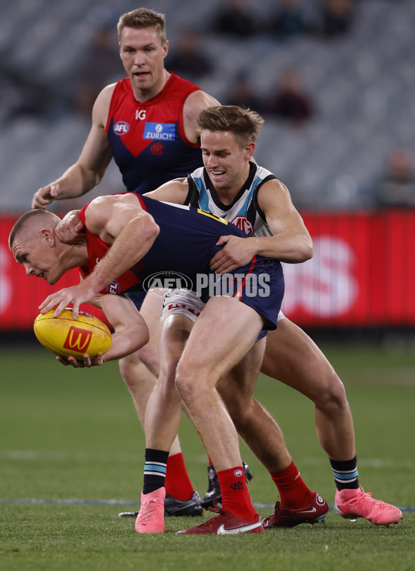 AFL 2024 Round 22 - Melbourne v Port Adelaide - A-52669334