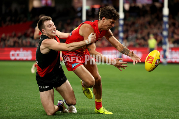 AFL 2024 Round 22 - Essendon v Gold Coast - A-52669373