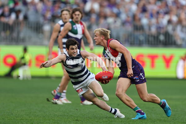 AFL 2024 Round 22 - Fremantle v Geelong - A-52670425