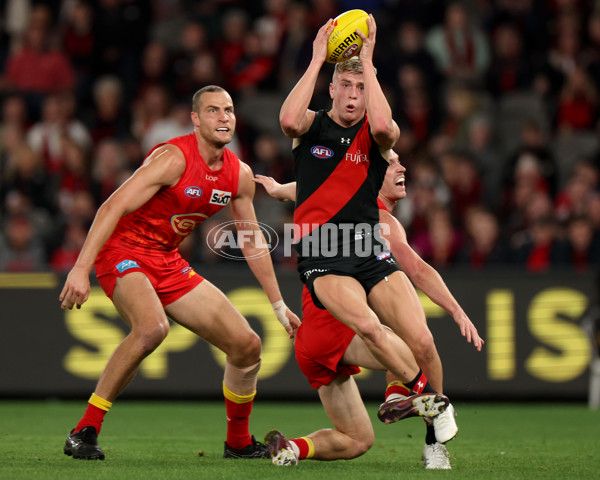 AFL 2024 Round 22 - Essendon v Gold Coast - A-52670447