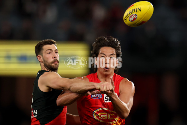 AFL 2024 Round 22 - Essendon v Gold Coast - A-52670466