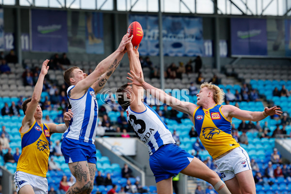 AFL 2024 Round 22 - North Melbourne v West Coast - A-52672987