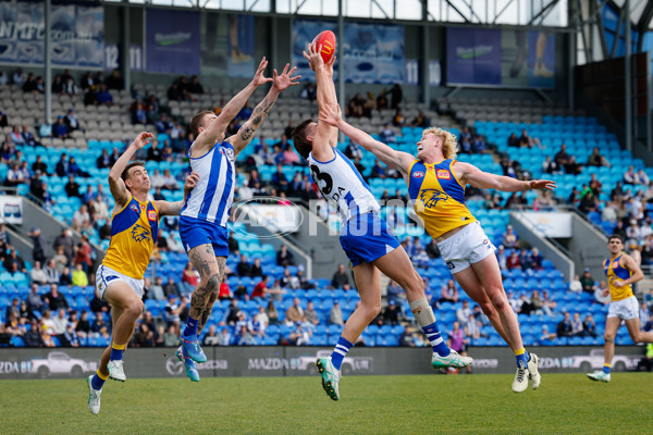 AFL 2024 Round 22 - North Melbourne v West Coast - A-52672996