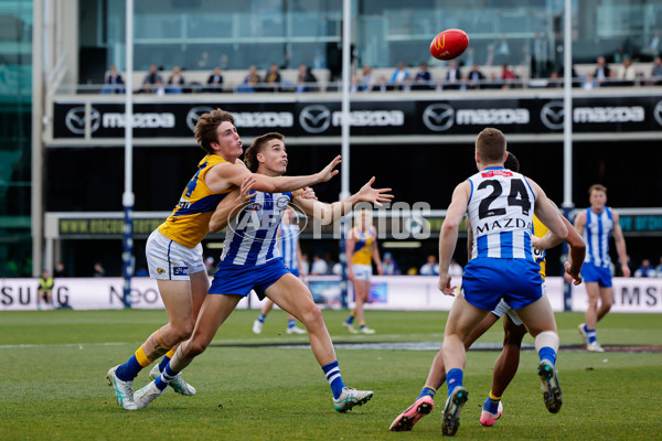 AFL 2024 Round 22 - North Melbourne v West Coast - A-52672998