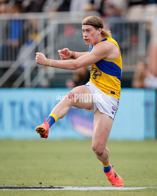 AFL 2024 Round 22 - North Melbourne v West Coast - A-52672999