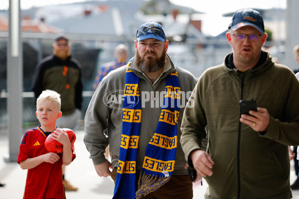 AFL 2024 Round 22 - North Melbourne v West Coast - A-52673001