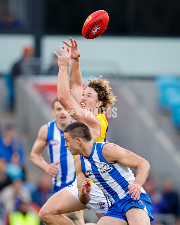 AFL 2024 Round 22 - North Melbourne v West Coast - A-52673002