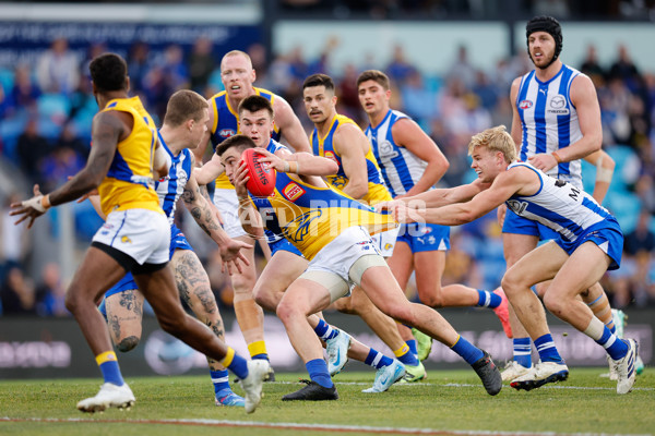 AFL 2024 Round 22 - North Melbourne v West Coast - A-52673003