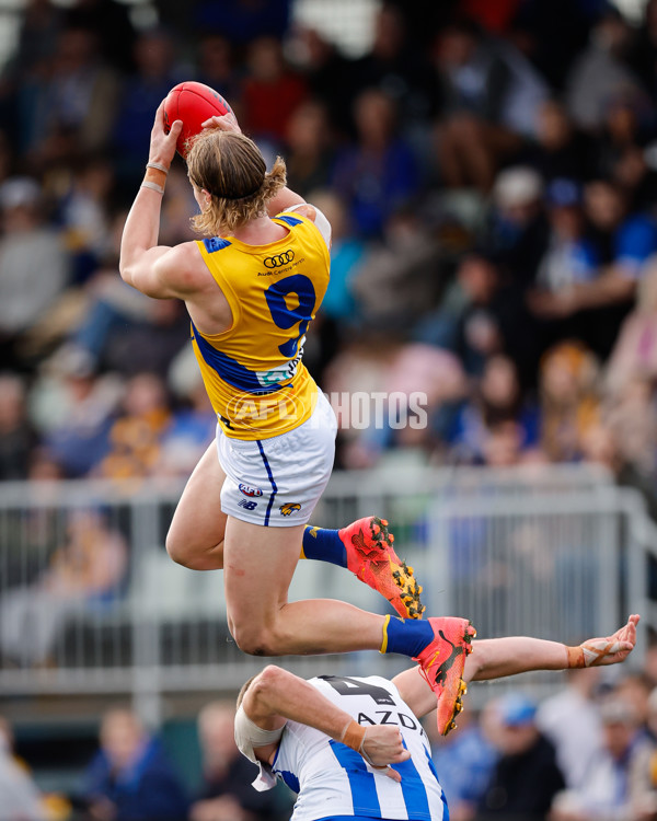AFL 2024 Round 22 - North Melbourne v West Coast - A-52674737