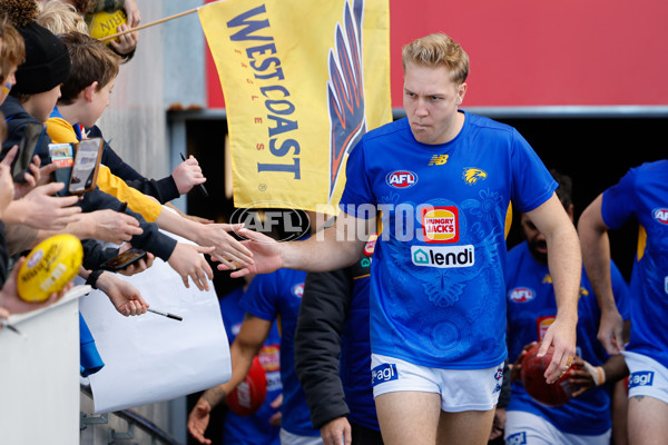 AFL 2024 Round 22 - North Melbourne v West Coast - A-52674739