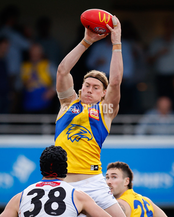 AFL 2024 Round 22 - North Melbourne v West Coast - A-52674741