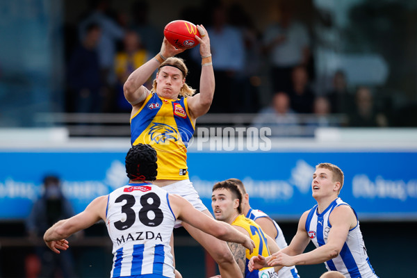 AFL 2024 Round 22 - North Melbourne v West Coast - A-52674742