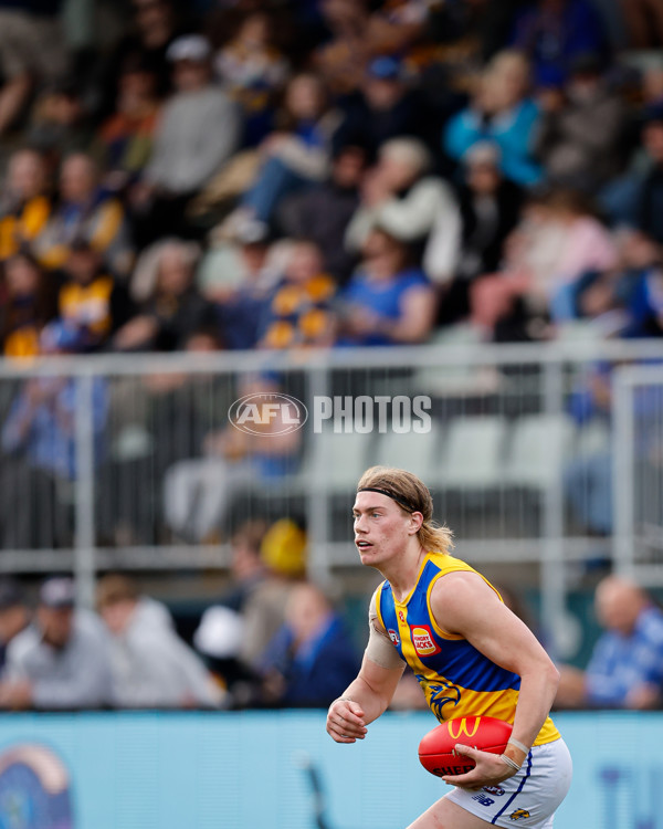AFL 2024 Round 22 - North Melbourne v West Coast - A-52674744