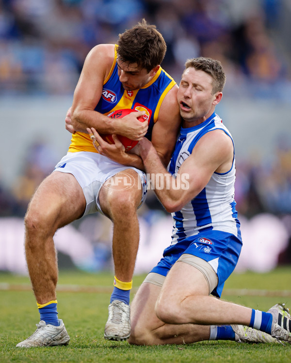 AFL 2024 Round 22 - North Melbourne v West Coast - A-52674746