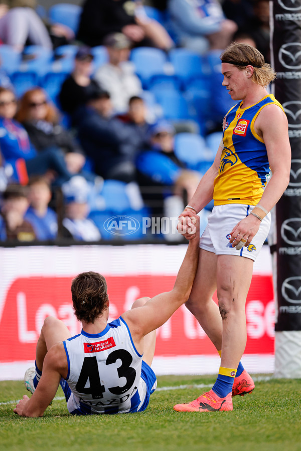 AFL 2024 Round 22 - North Melbourne v West Coast - A-52674749