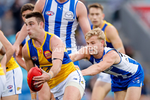 AFL 2024 Round 22 - North Melbourne v West Coast - A-52674750