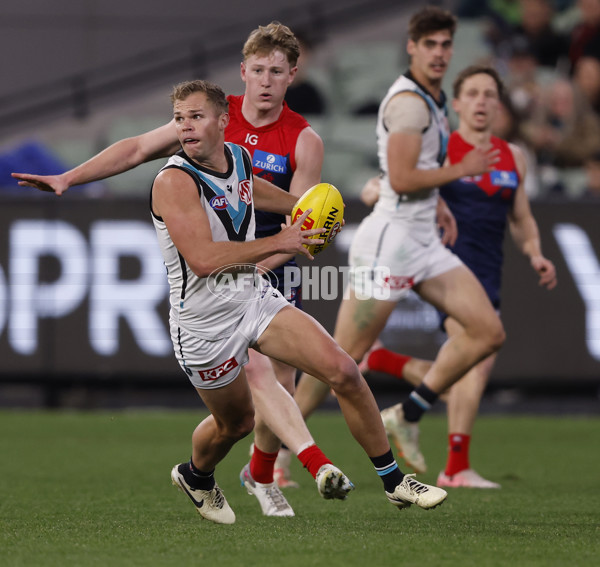 AFL 2024 Round 22 - Melbourne v Port Adelaide - A-52675588