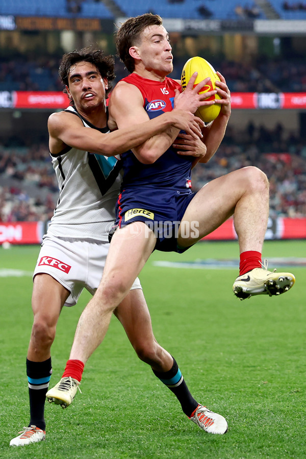 AFL 2024 Round 22 - Melbourne v Port Adelaide - A-52677516