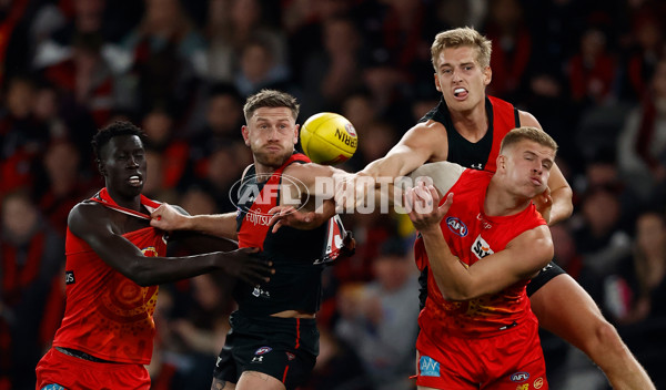 AFL 2024 Round 22 - Essendon v Gold Coast - A-52678177