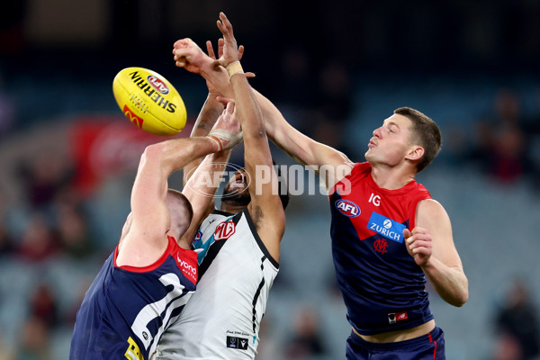 AFL 2024 Round 22 - Melbourne v Port Adelaide - A-52680736