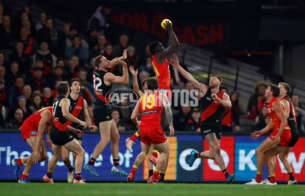 AFL 2024 Round 22 - Essendon v Gold Coast - A-52683290