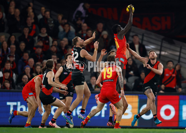 AFL 2024 Round 22 - Essendon v Gold Coast - A-52683400