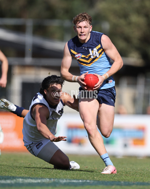 Futures U17 Boys 2024 - Vic Country v NSW/ACT - A-52685669