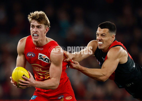 AFL 2024 Round 22 - Essendon v Gold Coast - A-52685701