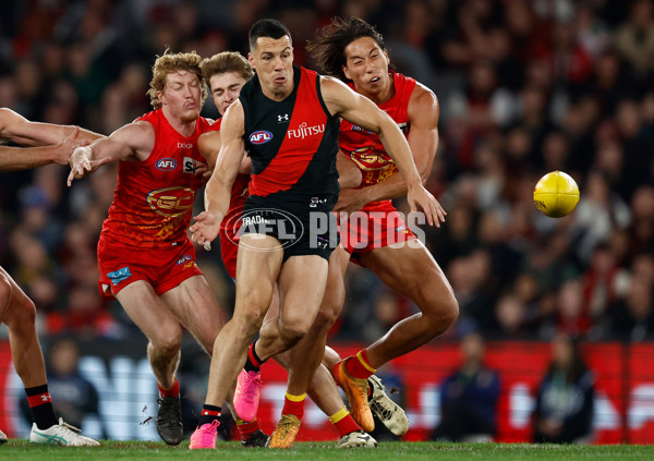 AFL 2024 Round 22 - Essendon v Gold Coast - A-52685702