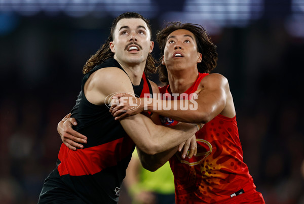 AFL 2024 Round 22 - Essendon v Gold Coast - A-52686070