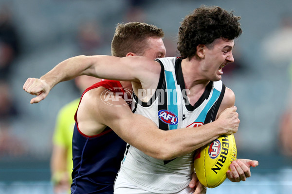 AFL 2024 Round 22 - Melbourne v Port Adelaide - A-52686092