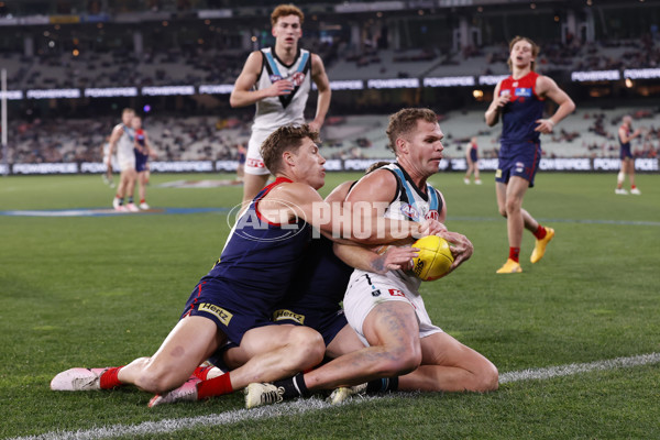 AFL 2024 Round 22 - Melbourne v Port Adelaide - A-52688989