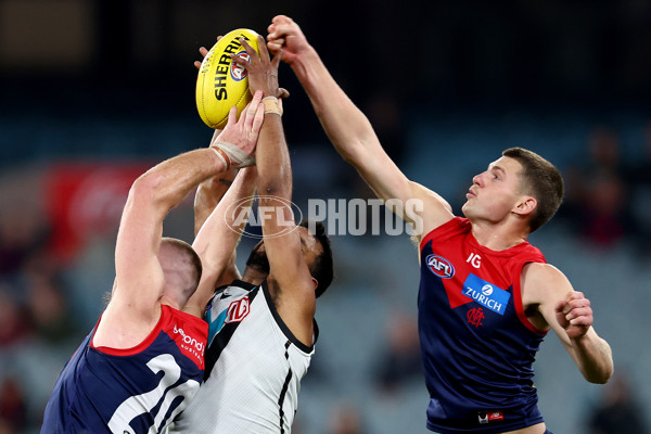 AFL 2024 Round 22 - Melbourne v Port Adelaide - A-52689031