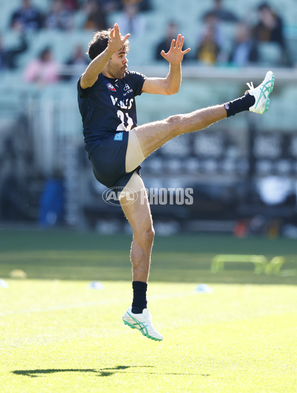 AFL 2024 Round 22 - Carlton v Hawthorn - A-52691332