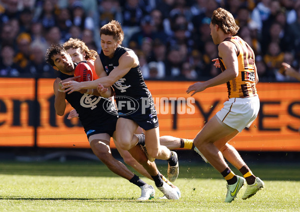 AFL 2024 Round 22 - Carlton v Hawthorn - A-52691373