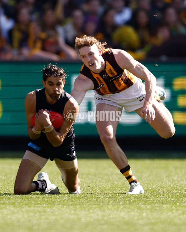 AFL 2024 Round 22 - Carlton v Hawthorn - A-52691569