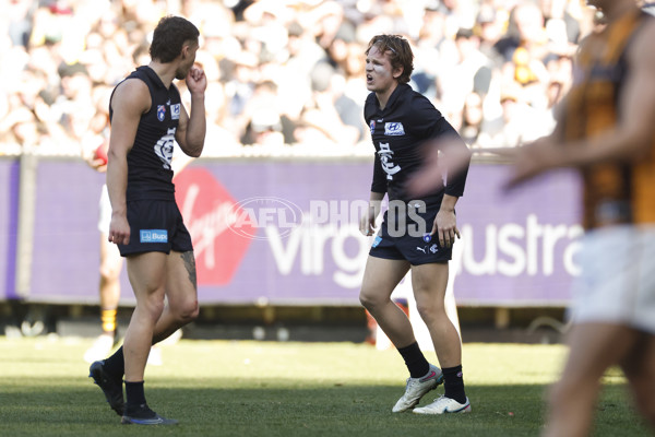 AFL 2024 Round 22 - Carlton v Hawthorn - A-52696769