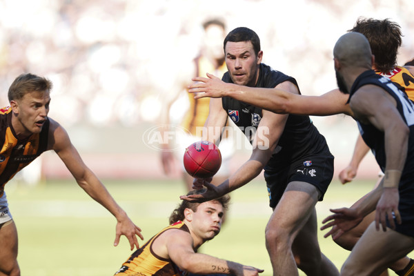 AFL 2024 Round 22 - Carlton v Hawthorn - A-52697035