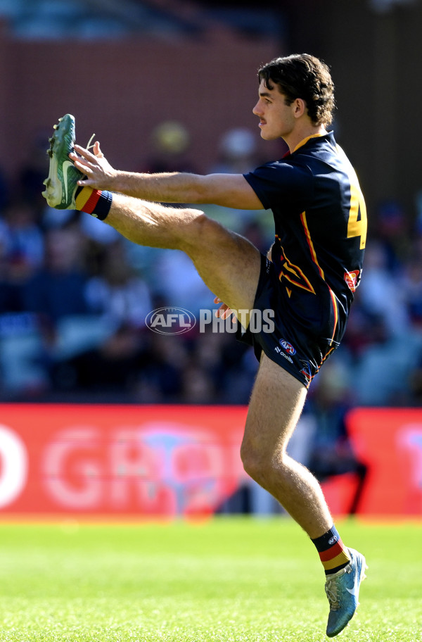 AFL 2024 Round 22 - Adelaide v Western Bulldogs - A-52699520