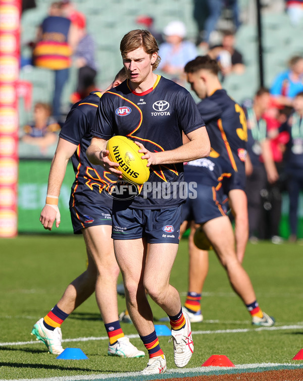 AFL 2024 Round 22 - Adelaide v Western Bulldogs - A-52699535